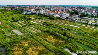 Hải Dương là điểm sáng trong xây dựng các văn bản quy phạm pháp luật thực hiện Luật Đất đai năm 2024