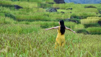 ថ្ងៃទី 2 ខែកញ្ញា ការធ្វើដំណើរនៅភាគកណ្តាលវៀតណាម៖ ចូលមើលទីតាំង 'រាប់លានទិដ្ឋភាព' នៅលើបណ្តាញសង្គម