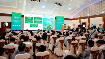 Liên kết vùng để tạo sức mạnh cho phát triển thương mại điện tử