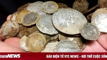 Đi tìm nhẫn cưới, người đàn ông bất ngờ đào được kho báu 3 tỷ đồng