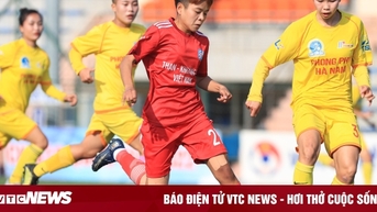 2023년 전국 U19 여자 토너먼트 7라운드: 놀라운 일 없음