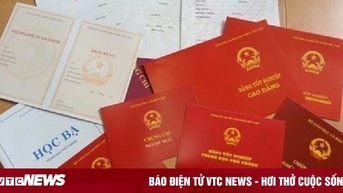 Điều tra vụ 13 giáo viên, viên chức nghi sử dụng chứng chỉ giả