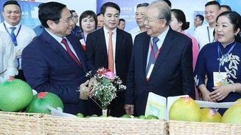 하우장의 협동조합은 맛있는 과일을 유럽과 북미로 판매하여 농부들이 많은 돈을 벌 수 있도록 돕고 있습니다.