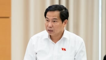 Sẽ giao Chính phủ quy định ngưỡng doanh thu hằng năm thuộc diện không chịu thuế VAT