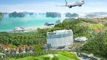 Hàng loạt cổ phiếu bị đình chỉ giao dịch do chậm nộp báo cáo tài chính