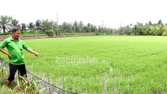 តើ​សត្វ​អាក្រក់​មួយ​ណា​កំពុង​លប​បំផ្លាញ​ទ្រព្យ​សម្បត្តិ​ដែល​ធ្វើ​ឱ្យ​អនុប្រធាន​ខេត្ត​ត្រាវិញ​ចុះ​ហត្ថលេខា​លើ​សេចក្តី​សម្រេច​នេះ?