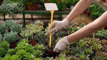 Làm điều này lúc rảnh rỗi cũng giúp giảm nguy cơ đột quỵ