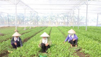 Khơi sức dân xây dựng nông thôn mới nâng cao