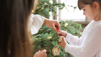 Cách tránh dị ứng với cây thông Noel