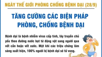 Tất cả vì 1, Một sức khỏe cho tất cả