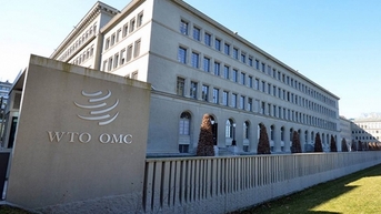 WTO dự báo kinh tế toàn cầu tiếp tục tăng trưởng trong 2 năm tới