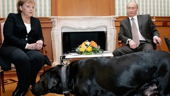 Tổng thống Putin công khai xin lỗi cựu Thủ tướng Đức Merkel vụ con chó