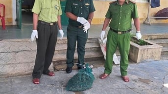 Tình cờ bắt được con trăn gấm có tên trong sách Đỏ, một ông nông dân TT-Huế liền làm điều này đây