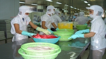 Bất chấp khoảng cách địa lý, Mexico đứng đầu khối CPTPP về nhập khẩu cá tra Việt Nam