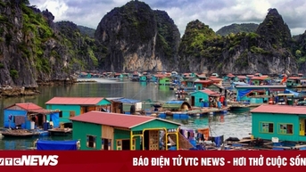Khám phá những làng chài hút khách ở Vịnh Hạ Long