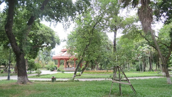 ដើរតាមដាននៃ "ផ្កាស្រី" របស់ស្តេច Quang Trung៖ ពិធី Hien Phu គួរឱ្យខ្លាច