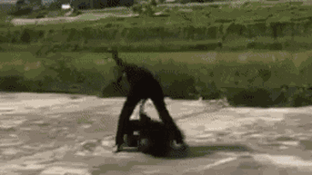 បញ្ជាក់​វីដេអូ​សិស្ស​ស្រី​ម្នាក់​ត្រូវ​មិត្ត​រួម​ថ្នាក់​វាយ​ទាត់​ធាក់​ច្រើន​ដង