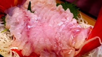Đau đầu, mỏi cơ, người đàn ông bất ngờ phát hiện đầy sán trong cơ thể