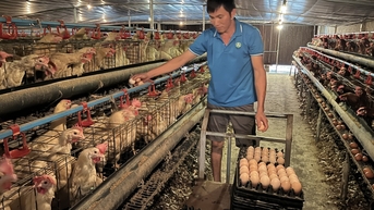Hoạt động Quỹ Khuyến nông còn nhiều khó khăn
