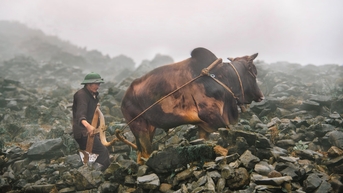 ភ្ជួរលើពពក