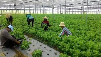 ក្រសួងហិរញ្ញវត្ថុស្នើឱ្យបន្តលើកលែងពន្ធលើការប្រើប្រាស់ដីកសិកម្មរហូតដល់ដំណាច់ឆ្នាំ២០៣០