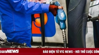 Giá xăng dầu hôm nay 14/11: Hồi phục nhẹ