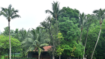 [រូបថត] ទស្សនាកន្លែងគោរពវិញ្ញាណក្ខន្ធលោកប្រធានហូជីមិញនៅវិមានប្រធានាធិបតី