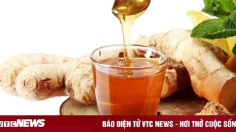 8 bài thuốc giúp giảm loét dạ dày từ thảo dược thiên nhiên