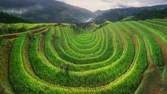 Báo Tây đăng tải những hình ảnh khiến du khách muốn đến Việt Nam ‘ngay và luôn’