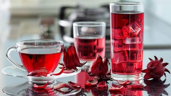 Atiso mát gan, giải nhiệt