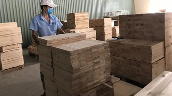 Cả trăm doanh nghiệp trung gian 'mất tích'