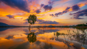 ទស្សនារដូវទឹកជំនន់ចូវដុក
