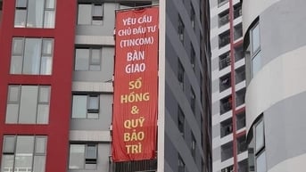 Thua lỗ triền miên với loạt nợ xấu, tiền đâu để đại gia Thang Văn Lương 'ôm' dự án khủng Cap Padaran Mũi Dinh?