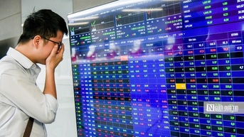 VN-Index thủng mốc 1.200 điểm, điều gì đang xảy ra với thị trường chứng khoán?