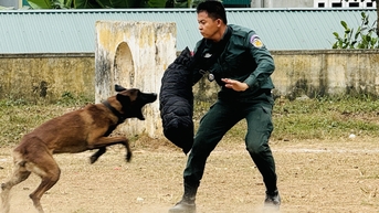 Cảnh sát Campuchia khoe kỹ năng điều khiển chó nghiệp vụ học ở Việt Nam