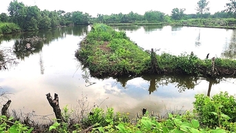 បន្ទាប់ពីរយៈពេលជាង 6 ឆ្នាំនៃការមិនធ្វើគម្រោងណាមួយ ក្រុមហ៊ុនមួយមានដី 40,000m2 ដែលត្រូវបានរឹបអូសដោយ Ca Mau ។