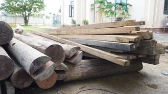 Tạm giữ gỗ lậu nằm trên đất Trưởng phòng Nội vụ ở Quảng Nam