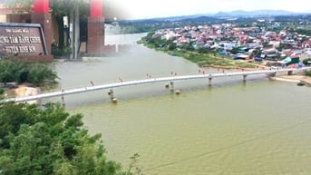 Mới đạt 2/9 tiêu chí, huyện Bình Sơn của tỉnh Quảng Ngãi khó về đích nông thôn mới năm 2024