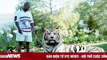 Kiếm gần 500 triệu USD, Mike Tyson 'đốt tiền' nuôi hổ, ăn chơi đến phá sản