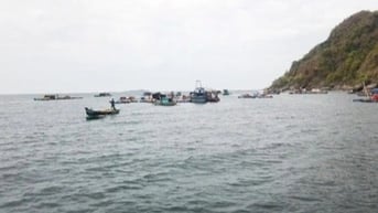 Cà Mau lập khu bảo tồn biển bảo vệ sinh vật đặc hữu