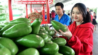 Hoa thơm trái ngọt ngập tràn Lễ hội Trái cây Nam Bộ 2024