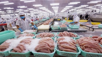 Xuất khẩu thủy sản Việt Nam đạt 10 tỷ USD, giữ vững vị trí thứ 3 thế giới