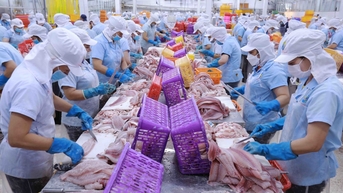 Ưu tiên nguồn lực hoàn thiện báo cáo kết quả xây dựng Bộ Chỉ số FTA Index trình Chính phủ