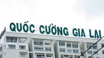 Cổ phiếu Cường Gia Lai (QCG) vẫn tăng giá 25% dù CEO bị bắt
