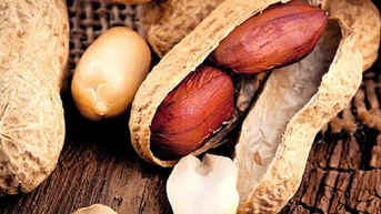 3 nguồn protein thực vật cực tốt cho sức khỏe ngoài đậu nành