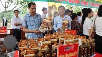 OCOP Thai Binh៖ អះអាងម៉ាកសញ្ញា លើកកំពស់គុណសម្បត្តិ ដើម្បីបង្កើតសន្ទុះអភិវឌ្ឍន៍សេដ្ឋកិច្ចជនបទ