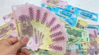 Gửi tiết kiệm 800 triệu đồng tại Agribank nhận tiền lãi hơn 56 triệu