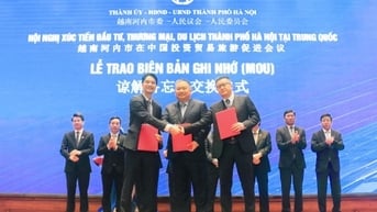 Doanh thu xuất khẩu của Vinamilk ghi nhận điểm sáng tích cực