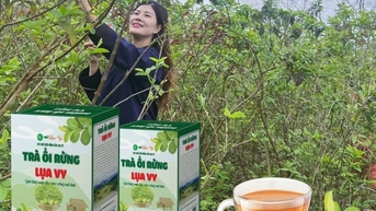 Tận dụng lợi thế của mạng xã hội để nâng tầm giá trị cho cây ổi rừng