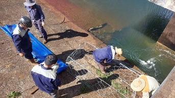 ការដួលរលំទំនប់ទឹកអាយុ 20 ឆ្នាំនៅ Gia Lai